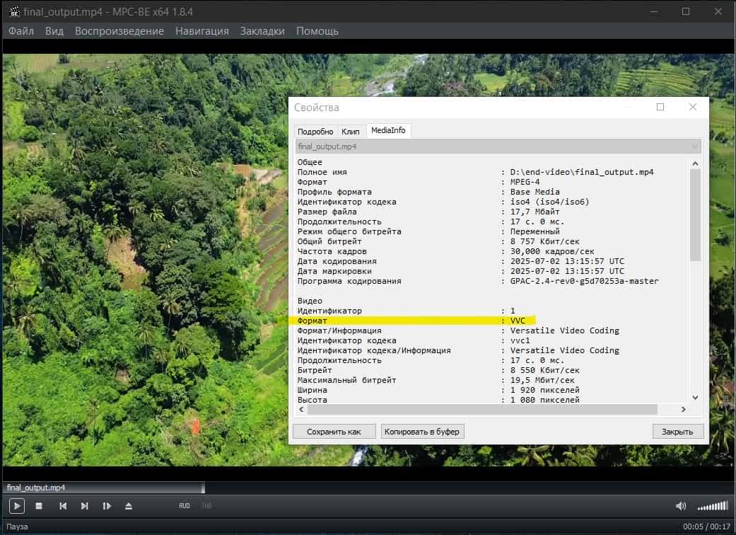VVC Converter Program Demo